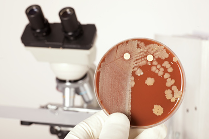 Nutztierpraxis - Milchuntersuchungen