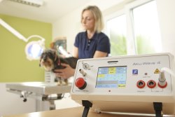 Kleintierpraxis Wiese - Lasertherapie