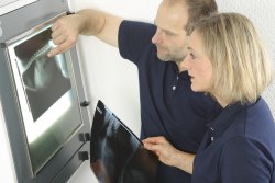 Kleintierpraxis Wiese - Röntgen und Ultraschall