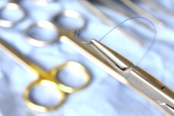 Kleintierpraxis Wiese - Labor