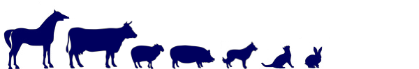 Tierarzt Wiese - Kleintierpraxis und Großtierpraxis